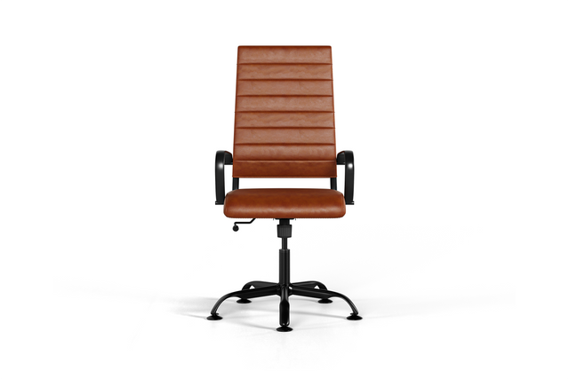 Premium Office Chair