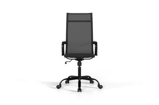 Laguna Mesh - Executive