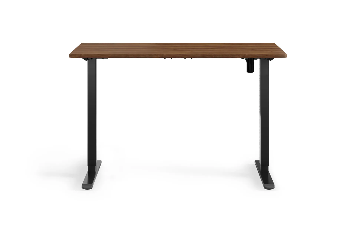 Chelsea Standing Desk - Walnut Top With Black Legs - back